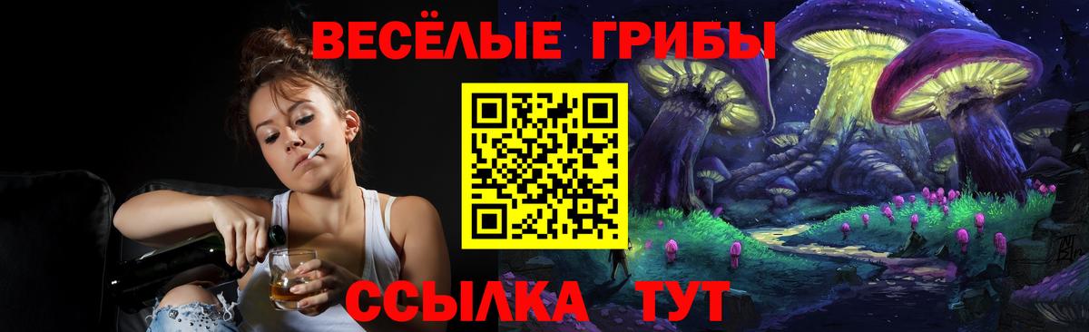 Псилоцибиновые грибы прущие грибы  Вход с VPN  Ковров 